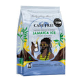 Cafe Frei Jamaica Ice Cinnamon & Vanilla Instant Iced Coffee packaging on a white background.