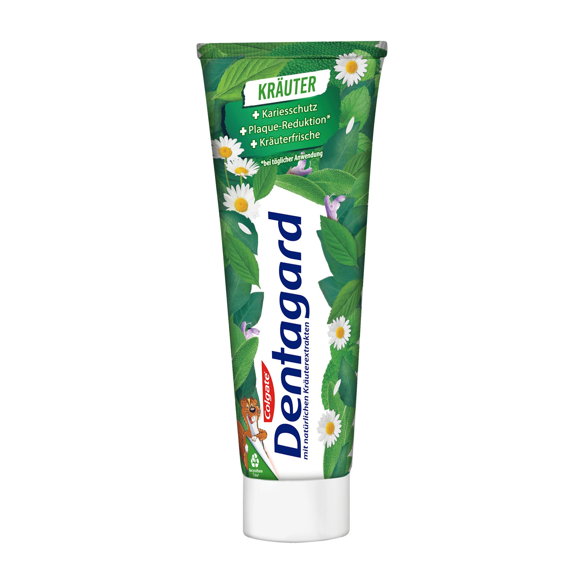 Dentagard Herbal toothpaste, 75 mL