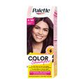 Palette Color Shampoo 4-99 Bordeaux packaging on a white background