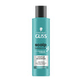 Schwarzkopf Gliss Scalp Balance Gentle Shampoo bottle on a white background