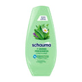 schauma Après-shampoing 7 HERBES FRAÎCHEUR, 250 ml
